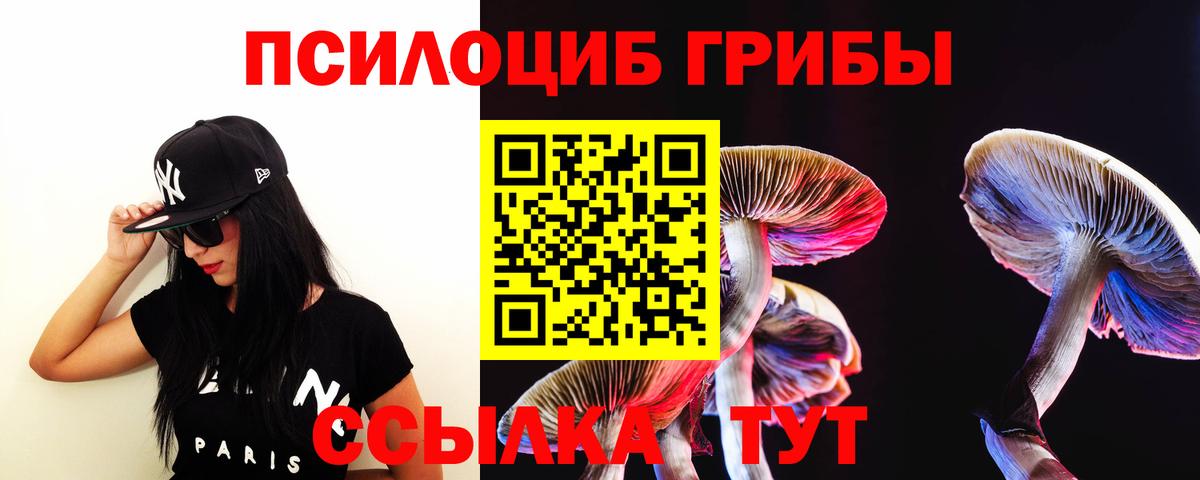 наркотики  Псилоцибиновые грибы MAGIC MUSHROOMS  Вход с VPN  Егорьевск  Галлюциногенные грибы Cubensis 